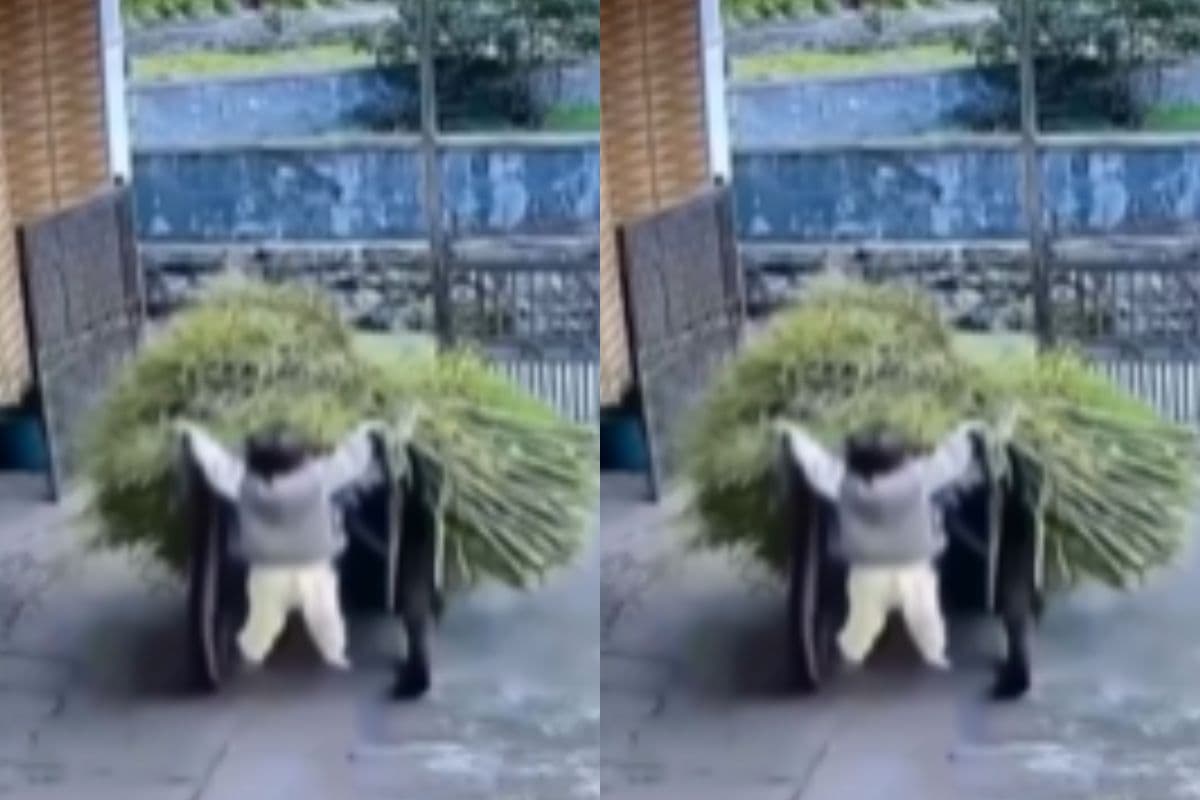 Viral Video: कर्म करने जाता हूं, कांड हो जाता है! वाहन से लटकते बच्चे का वीडियो देखकर नहीं रुकेंगी हंसी
