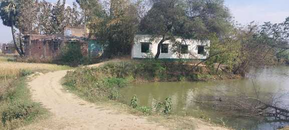 तालाब किनारे है विद्यालय, नहीं है चहारदीवारी, बच्चों की सुरक्षा पर मंडरा रहा खतरा