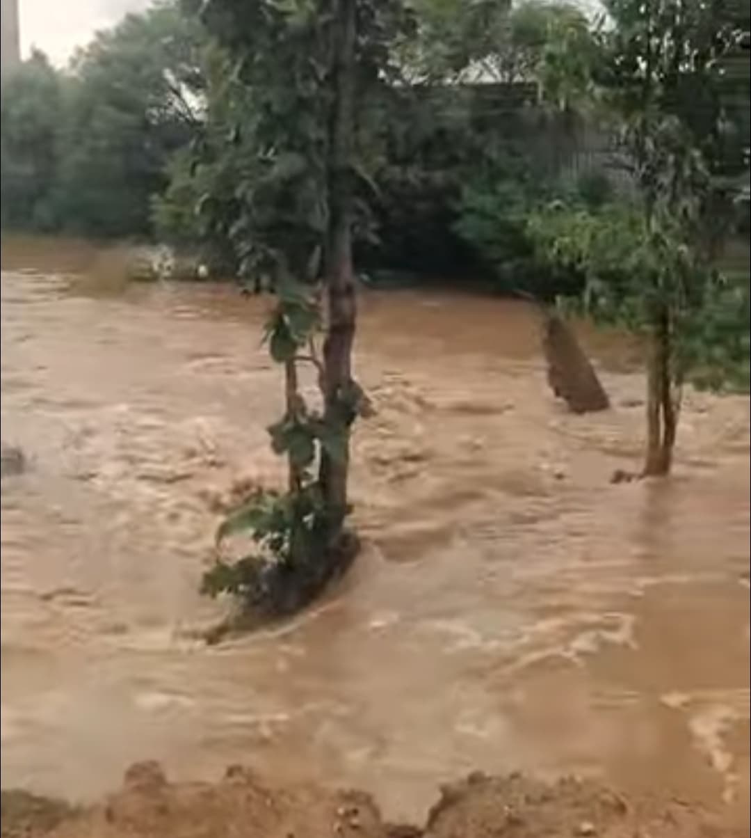 Chaibasa News : कांगरा व वैतरणी का जलस्तर बढ़ा
