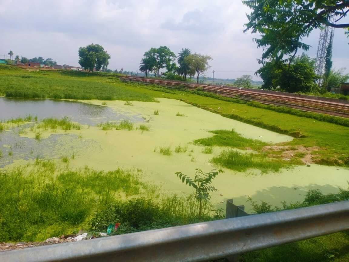 ग्रामीणों ने फतू तालाब की साफ-सफाई की मांग