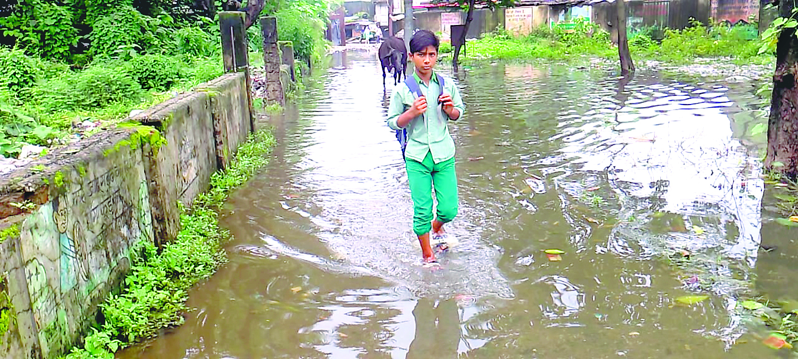 Dhanbad News : चहारदीवारी फांदकर अंदर गये बच्चे, महिला शिक्षिकाओं को चार पहिया वाहन से ले जाया गया स्कूल