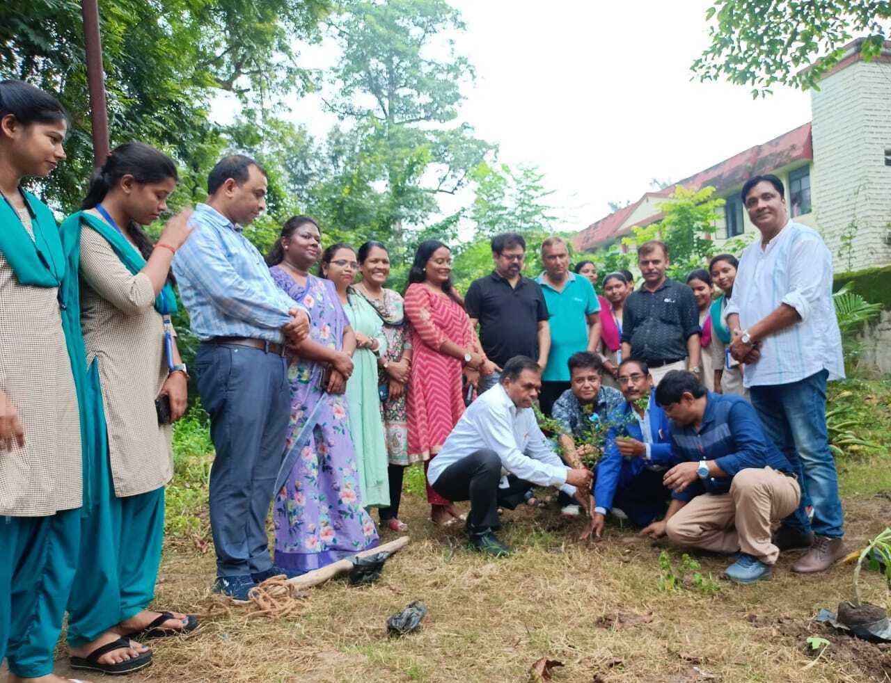 Chaibasa News : पौधरोपण ही है धरती बचाने का सबसे असरदार उपाय : सीसीडीसी