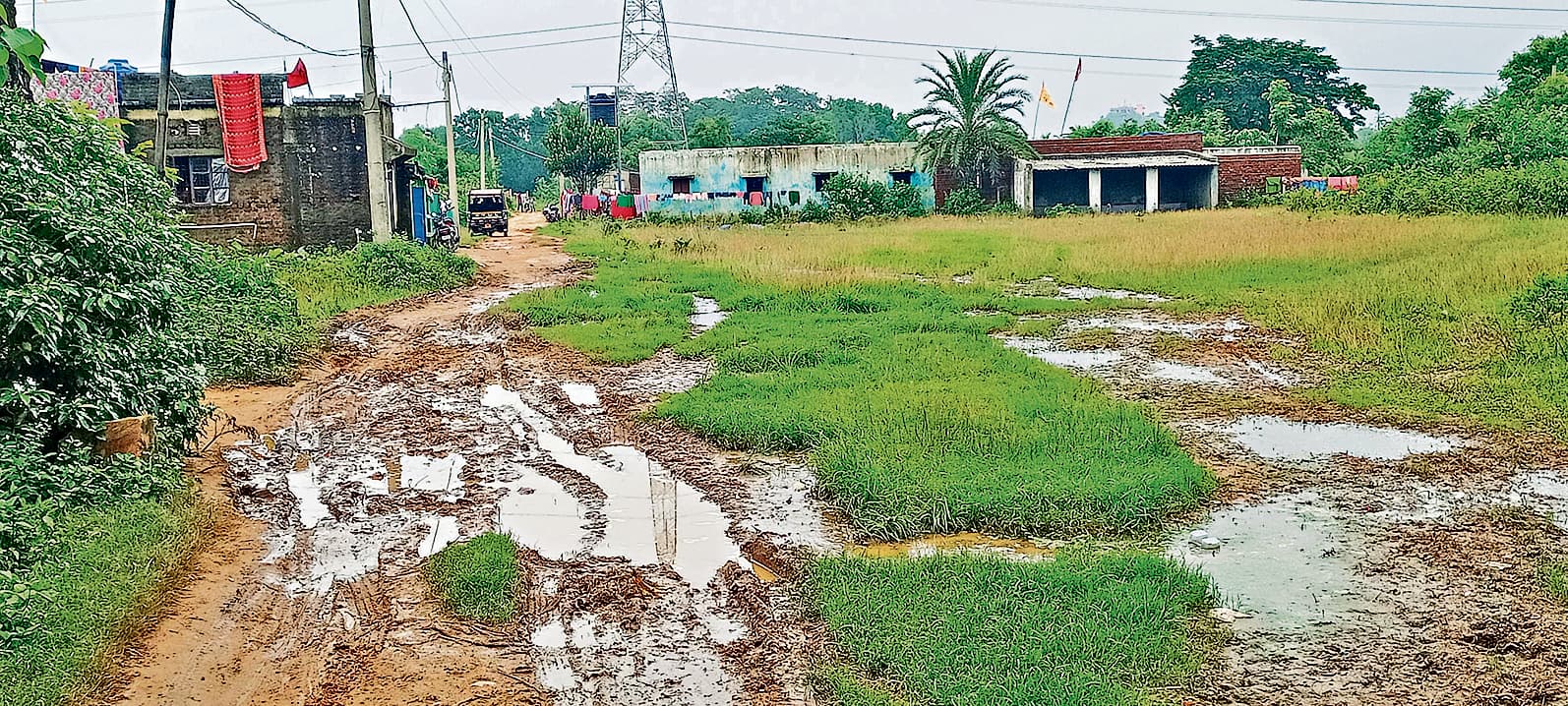 East Singhbhum News : पगडंडी कीचड़मय, घरों में पानी भरने से बीमारी फैलने का डर
