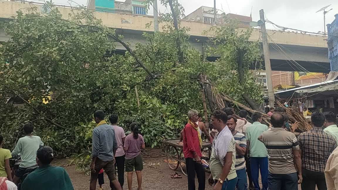 नगर के मुख्य बाजार में गिरा दशकों पुराना बरगद का पेड़, बाल-बाल बचे लोग