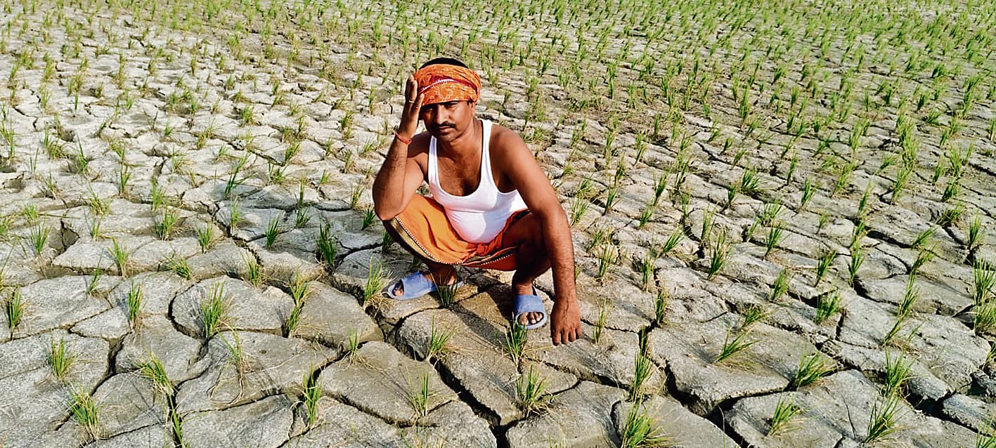 Gopalganj News : सावन में दहक रहे सूर्यदेव, रूठ गया माॅनसून, धान के खेतों में फटीं दरारें देख किसान मायूस