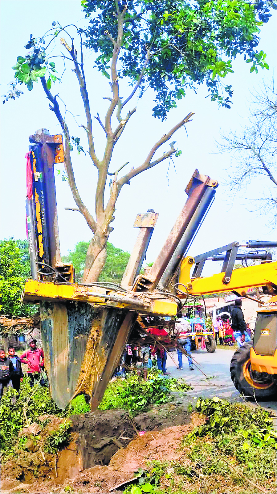 Siwan News : सीवान से मशरक तक सड़क चौड़ीकरण के दौरान हजारों पेड़ों की शिफ्टिंग