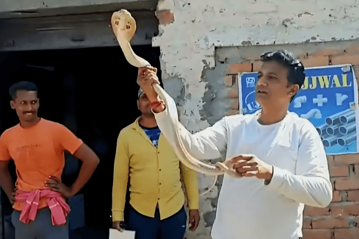 बिहार के फेमस ‘स्नेक मैन’ को वैशाली में कोबरा ने काटा, मौत का Live Video आया सामने
