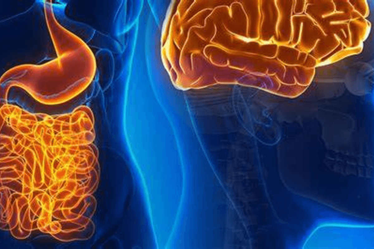 Gut Health Secret: शरीर में छुपा है एक और दिमाग, जानिए कहां और क्यों है ये जरूरी