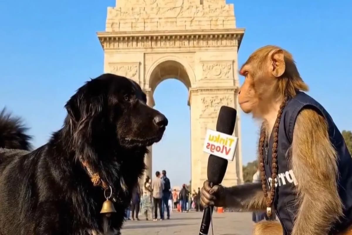 Viral Video: मॉन्केश ने लिया डॉगेश का इंटरव्यू, टॉपिक वही है जिसपर देशभर में बहस छिड़ी है