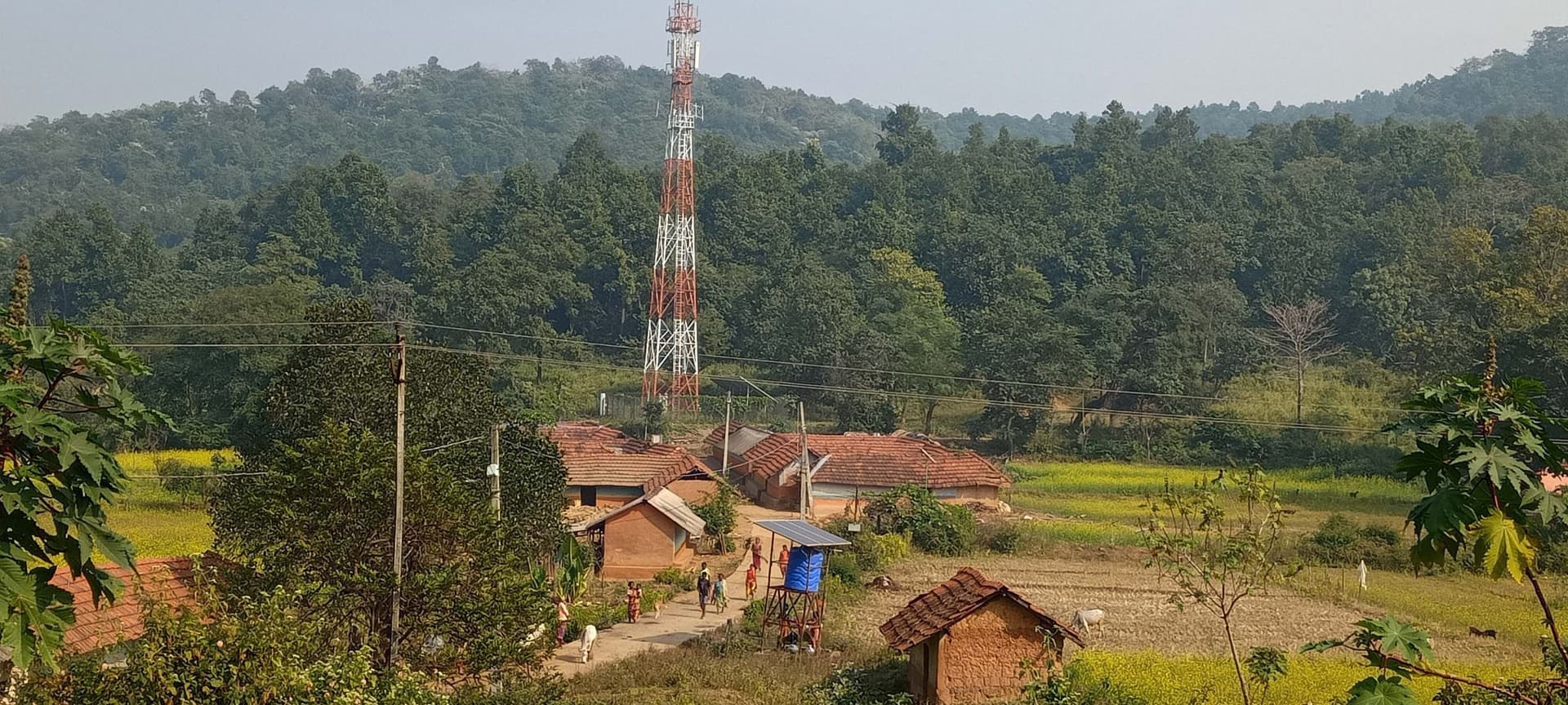 East Singhbhum News : मुश्किलों से भरी है पहाड़ पर बसे मिर्गीटांड़ के ग्रामीणों की जिंदगी