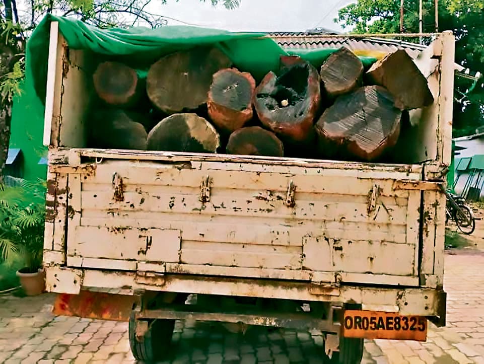 Sambalpur News :  वन विभाग ने लकड़ी लदा वाहन को पकड़ा, सवा लाख की लकड़ी जब्त