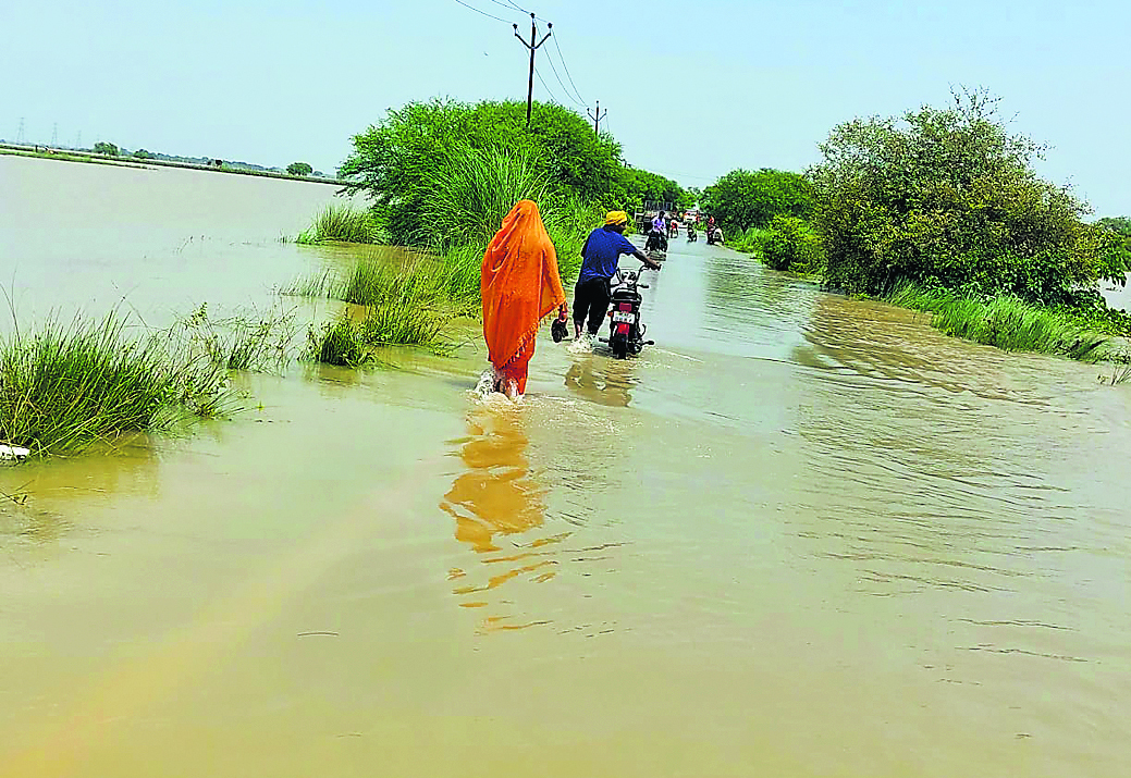 Ara News : शाहपुर-कारनामेपुर सड़क पर चढ़ा पानी, लोगों का सड़क संपर्क टूटा