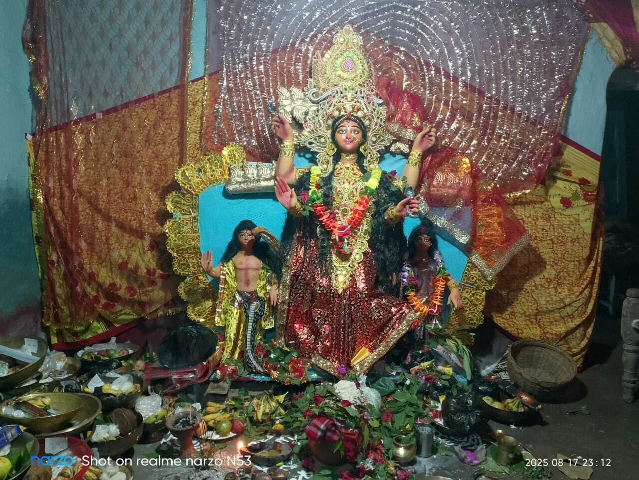 पाकुड़िया प्रखंड में धूमधाम से हुई मां मनसा की पूजा