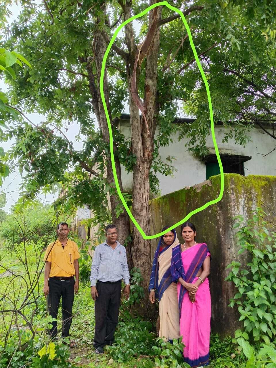 Bokaro News : प्रावि व आंगनबाड़ी केंद्र से सटे पेड़ पर वज्रपात, रसोईया हुईं बेहोश