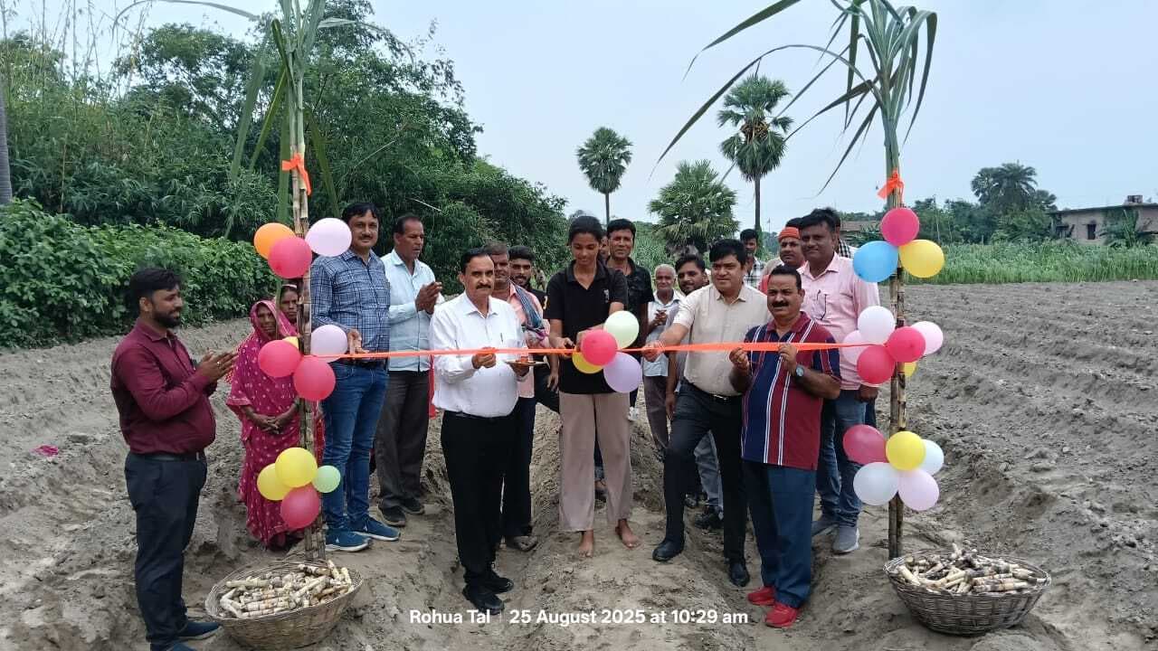 सिधवलिया शुगर मिल परिक्षेत्र में शरदकालीन गन्ना बोआई शुरू