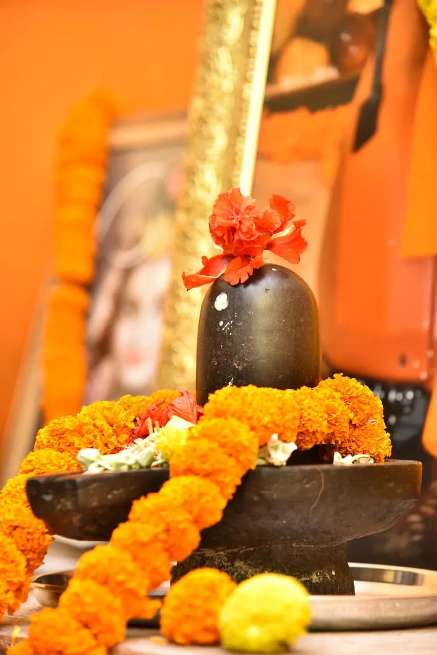 विन्ध्य की तपस्या, ओंकार में परमेश्वर लिंग के प्रादुर्भाव और उसकी महिमा का वर्णन