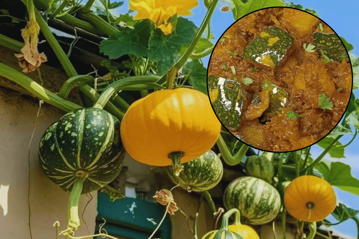 Kaddu Sabji Recipe: जीतिया पर बनाएं खट्टी मीठी कद्दू की सब्जी