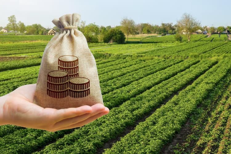 RAM से होगा सरकारी बैंकों का बेड़ापार, नुवामा की रिपोर्ट में बड़ा खुलासा