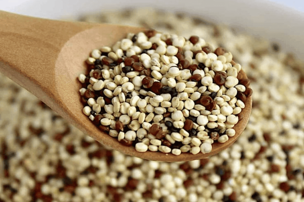 Quinoa seeds and a cooked quinoa dish highlighting its protein-rich benefits.