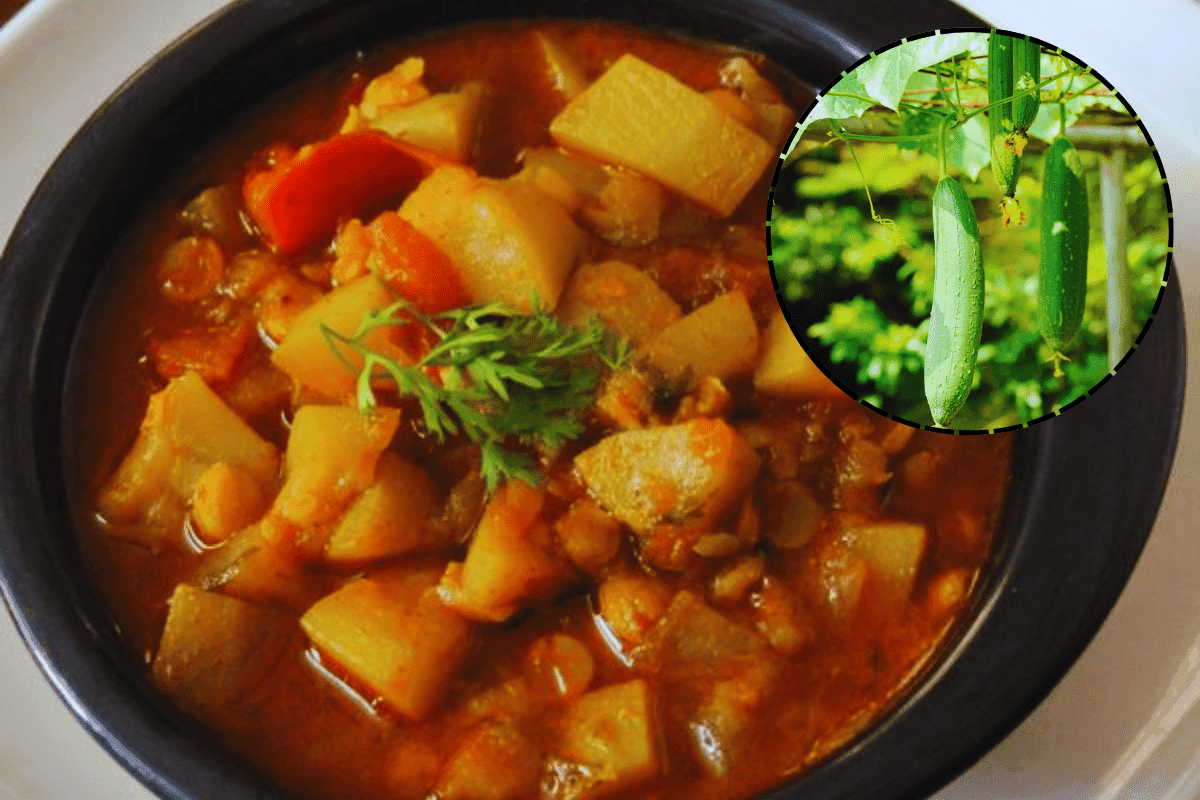 Jitiya Paran Recipe: जितिया पारण थाली में ऐड करें सात्विक तोरी की सब्जी