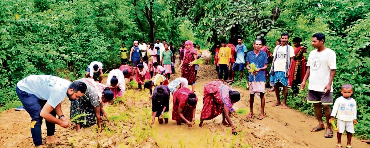 Chaibasa News : गांव की कच्ची सड़क पर धान रोपकर ग्रामीणों ने किया विरोध