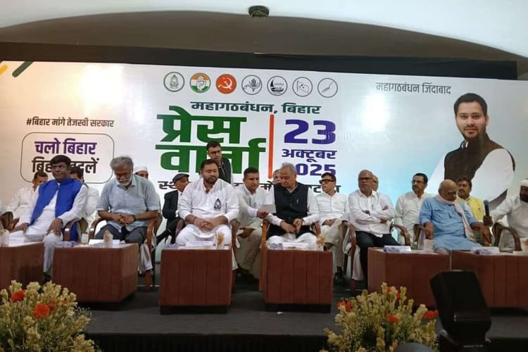 सीएम फेस बनते ही तेजस्वी यादव ने बताया संकल्प, बोले- अगर मेरी परछाई भी गलत करेगी तो उसको सजा दिलवाएंगे