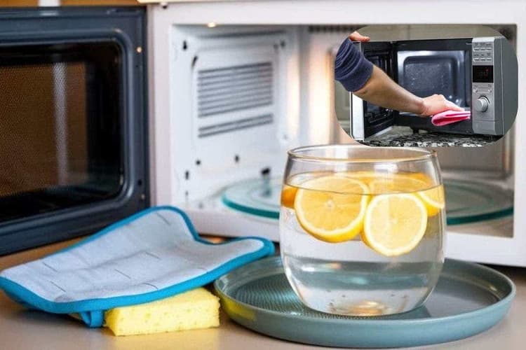 Cleaning Tips: इस दिवाली अपने माइक्रोवेव को बनाएं बिल्कुल नए जैसा, सिर्फ 5 मिनट में आसान तरीके से