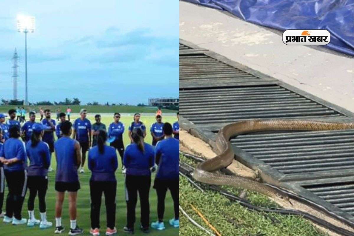 Women World Cup 2025: प्रैक्टिस के दौरान मैदान पर आया सांप, टीम इंडिया के खिलाड़ी हैरान