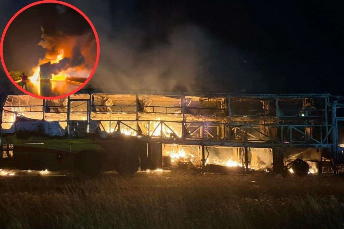 Kurnool Bus Fire Video: बाइक से टक्कर और धधक उठी बस, यात्री ने सुनाया हादसे का खौफनाक मंजर, देखें वीडियो