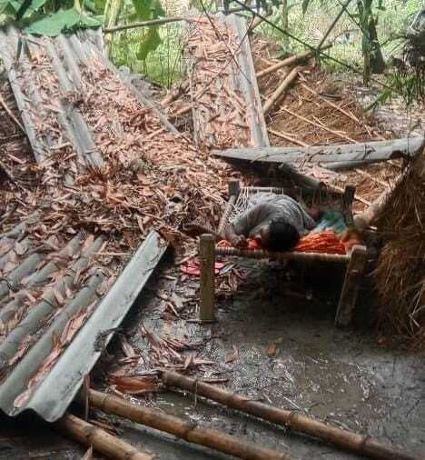 hajipur news. पेड़ गिरने से बिजली आपूर्ति घंटों बाधित