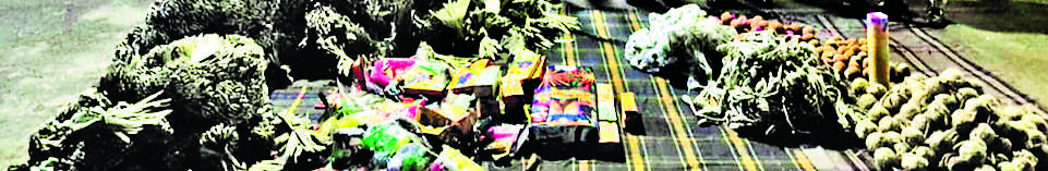Jharsuguda News : बगैर लाइसेंस रखे गये 50 हजार रुपये के पटाखे जब्त