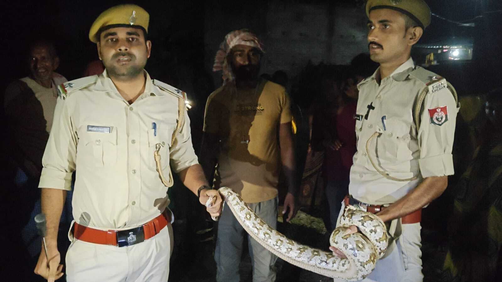 वन विभाग की टीम ने अजगर को किया रेस्क्यू
