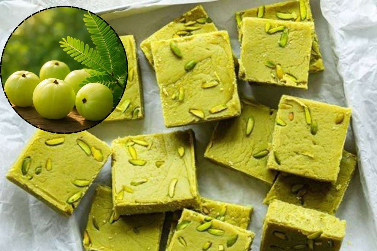 Amla Barfi Recipe Healthy Tasty Indian Sweet Recipe