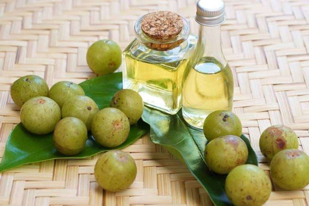 Amla Hair Oil Benefits: बालों में आमला तेल लगाने के फायदे