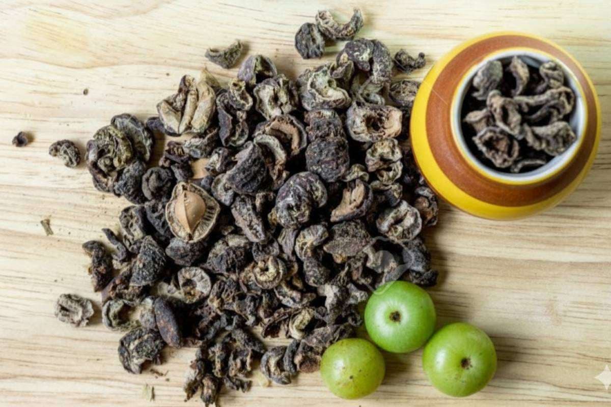 Amla Vadi - Salted Amla Candy Recipe: रोजाना खाएं आमला वड़ी और पाचन तंत्र को रखे दुरुस्त -जानें स्वादिष्ट आंवला वड़ी की रेसिपी