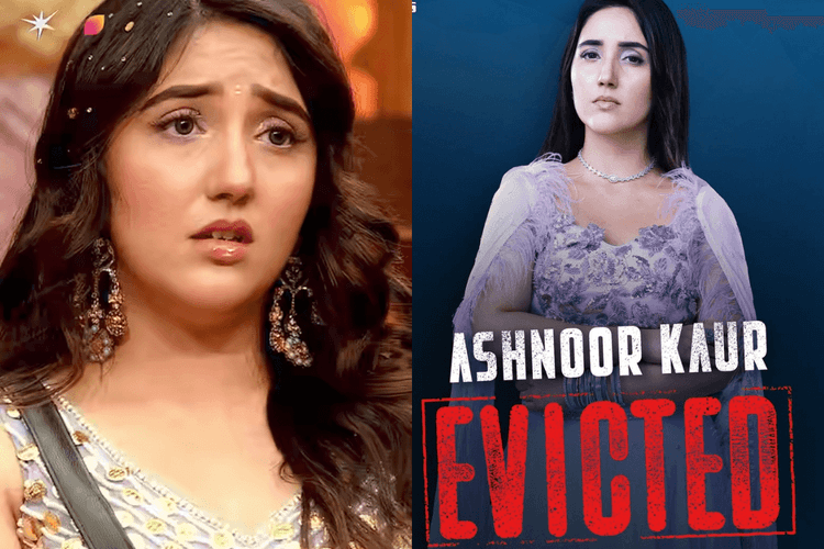 Bigg Boss 19: वीकेंड का वार में घर से बेघर होते ही अशनूर कौर ने किया क्रिप्टिक पोस्ट, लिखा- वह मेरी कहानी नहीं है