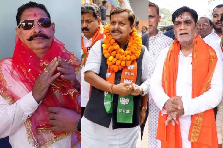 Bihar Election Result 2025: पटना की 14 विधानसभा सीटों में से इन 11 पर एनडीए ने गाड़ा झंडा, एक भी महिला विधायक नहीं