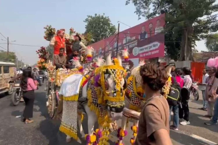 Bihar Election Result 2025 Video: अनोखे अंदाज में मनाया जश्न, विजय रथ लेकर पहुंचे एक्टर फूल सिंह