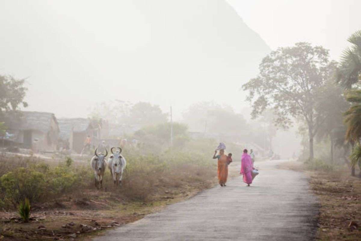 सिर्फ 48 घंटे का इंतजार, बिहार में बढ़ेगी कड़ाके की ठंड, वेस्टर्न डिस्टर्बेंस का दिखेगा असर