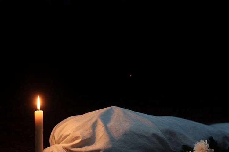 बोकारो में हाथियों का आतंक, पूर्व मुखिया के पुत्र समेत दो युवकों की दर्दनाक मौत