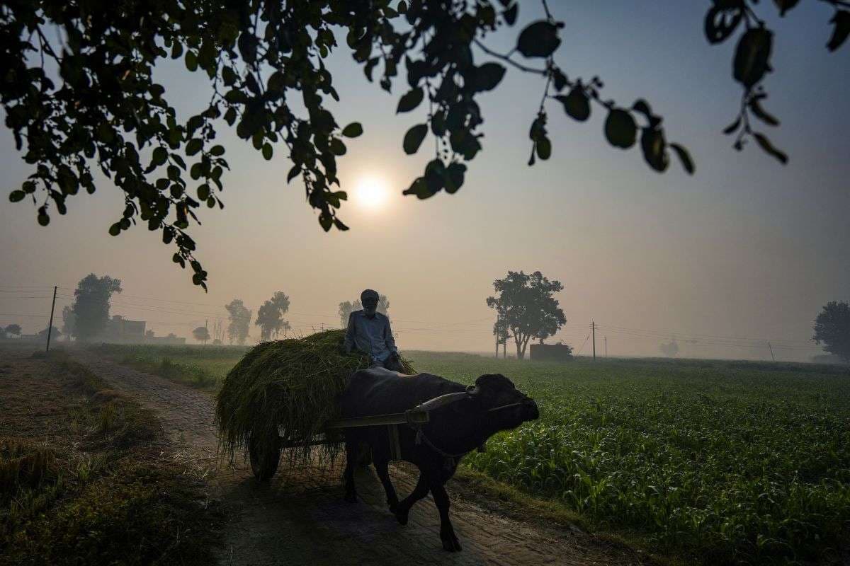 Delhi Cold Wave: दिल्ली में शीतलहर ने दी दस्तक, न्यूनतम तापमान 9.9 डिग्री सेल्सियस