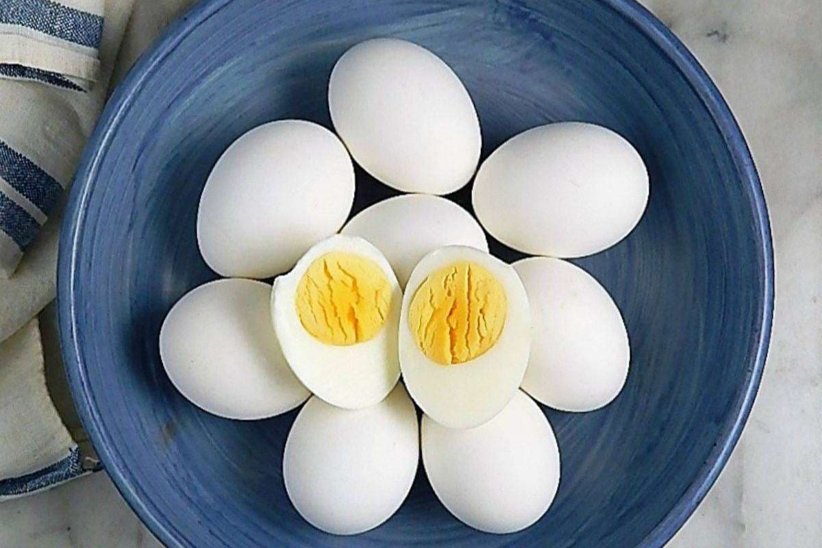 Tips to Store Eggs for Long Time: जानें अंडे को लंबे समय तक फ्रेश रखने के 3 आसान और असरदार टिप्स