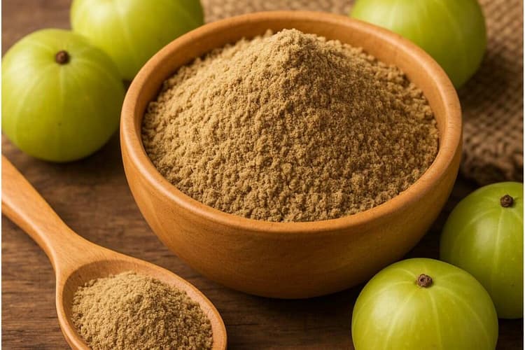 Homemade Amla Powder: बाजार से महंगे प्रोडक्टस खरीदना छोड़िए, घने बालों के लिए घर पर बनाएं शुद्ध आंवला पाउडर