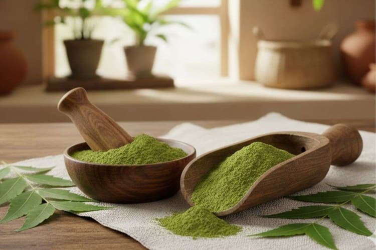 Homemade Neem Powder: बाजार वाला मिलावटी पाउडर छोड़िए, ताजे नीम के पत्तों से घर पर बनाएं होममेड नीम का पाउडर, महीनों तक कर सकेंगे इस्तेमाल