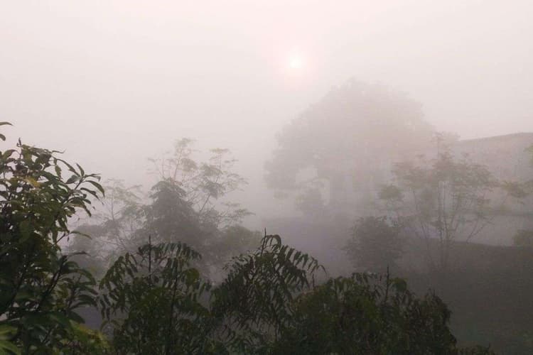 झारखंड को झेलनी होगी कोहरे और धुंध की मार, आज ही जान लें अगले 5 दिन कैसा रहेगा रांची का मौसम