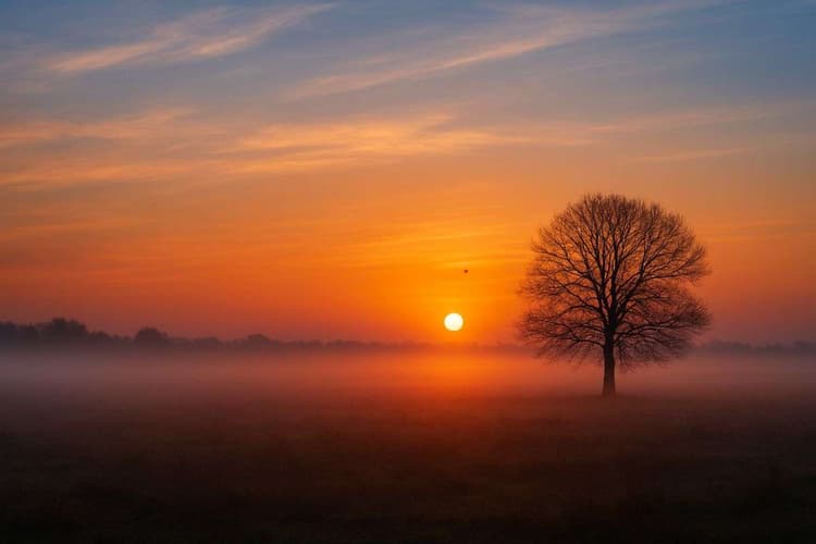 पारा फिर गिरेगा तेजी से! झारखंड में चार दिन बाद लौटेगी ‘हाड़ कंपाने वाली’ ठंड