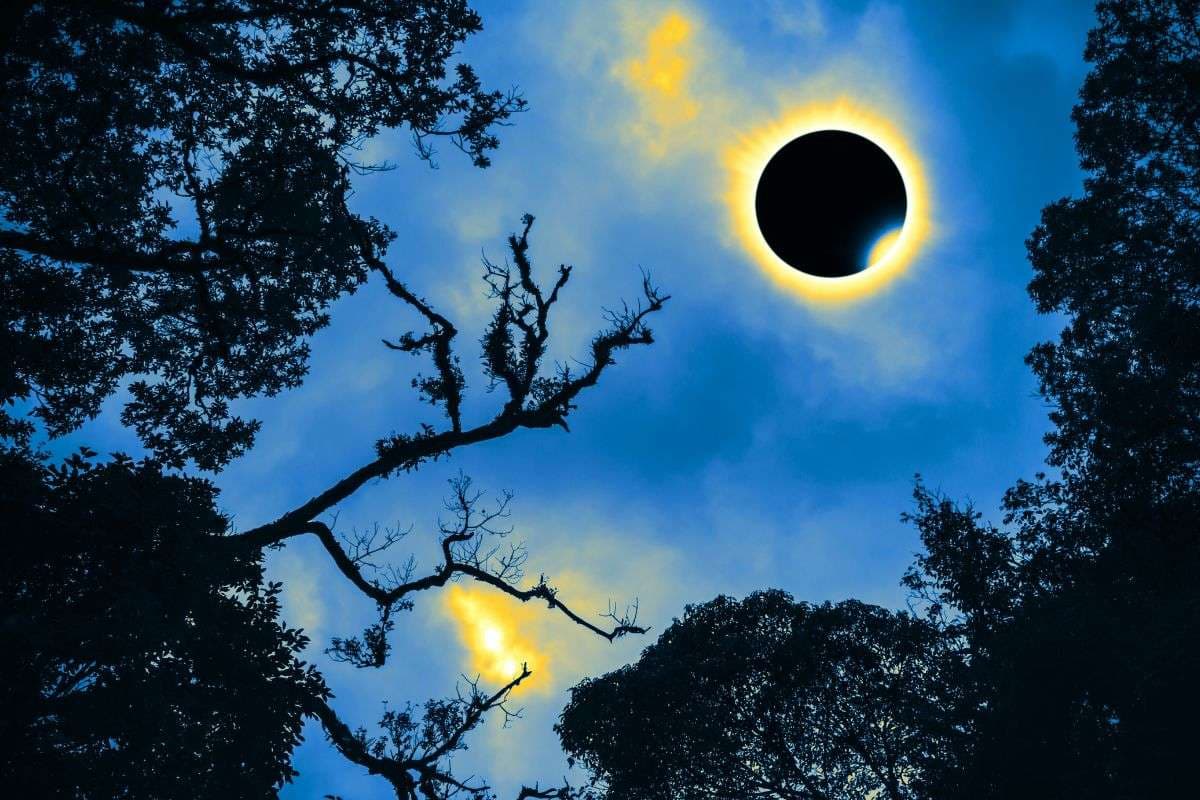 दिन में अंधेरी रात, टेंपरेचर गिरेगा और 6.23 मिनट तक नजर आएंगे तारे, सदी का सबसे बड़ा सूर्यग्रहण इस दिन होगा
