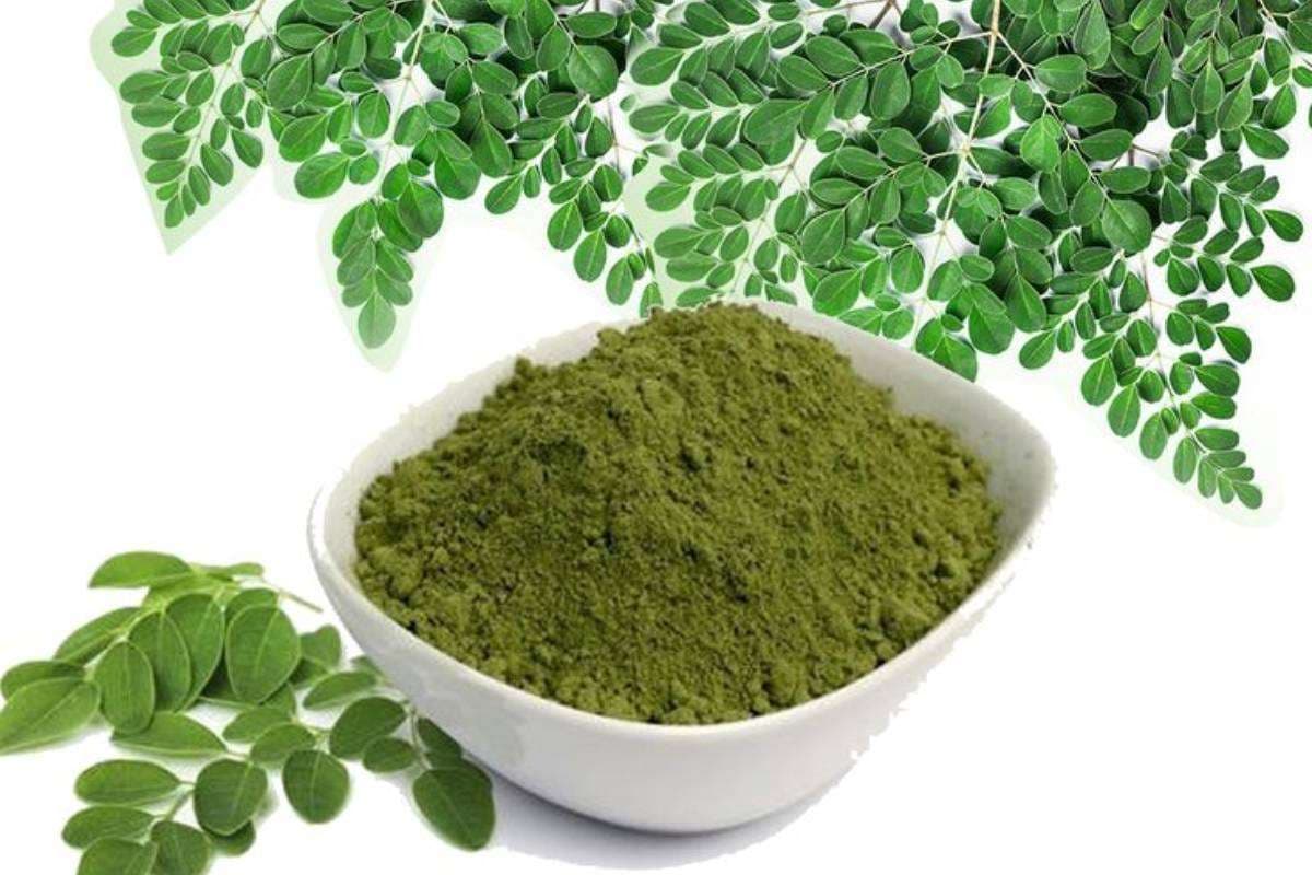 No oil moringa cookies recipe ingredients  