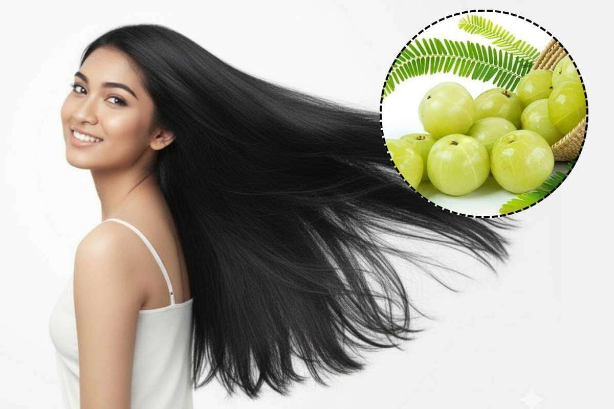 Natural Amla Hair Serum: बालों को जड़ से काला कर देगा ये नेचुरल सीरम, इसे बनाना है बेहद आसान