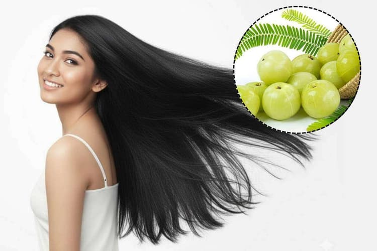 Natural Amla Hair Serum: बालों को जड़ से काला कर देगा ये नेचुरल सीरम, इसे बनाना है बेहद आसान